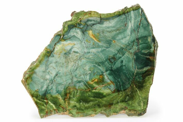 Gary Green Jasper (Larsonite) Bog Wood Slab - Oregon #299329